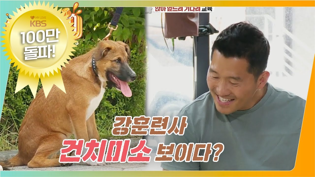 [#개는훌륭하다] 견생 5개월차 테일이! 🐶 강훈련사가 건치미소를 보인 이유는? ㅣ KBS 210712 방송