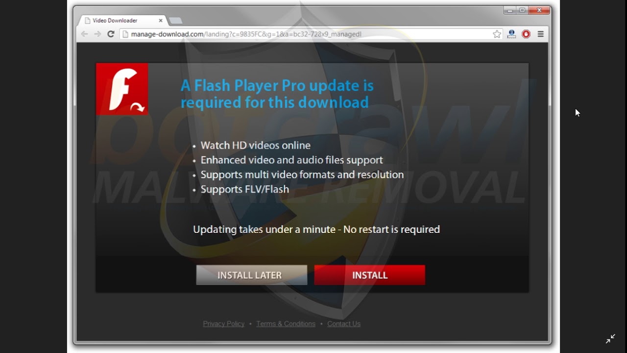 macromedia flash player virus