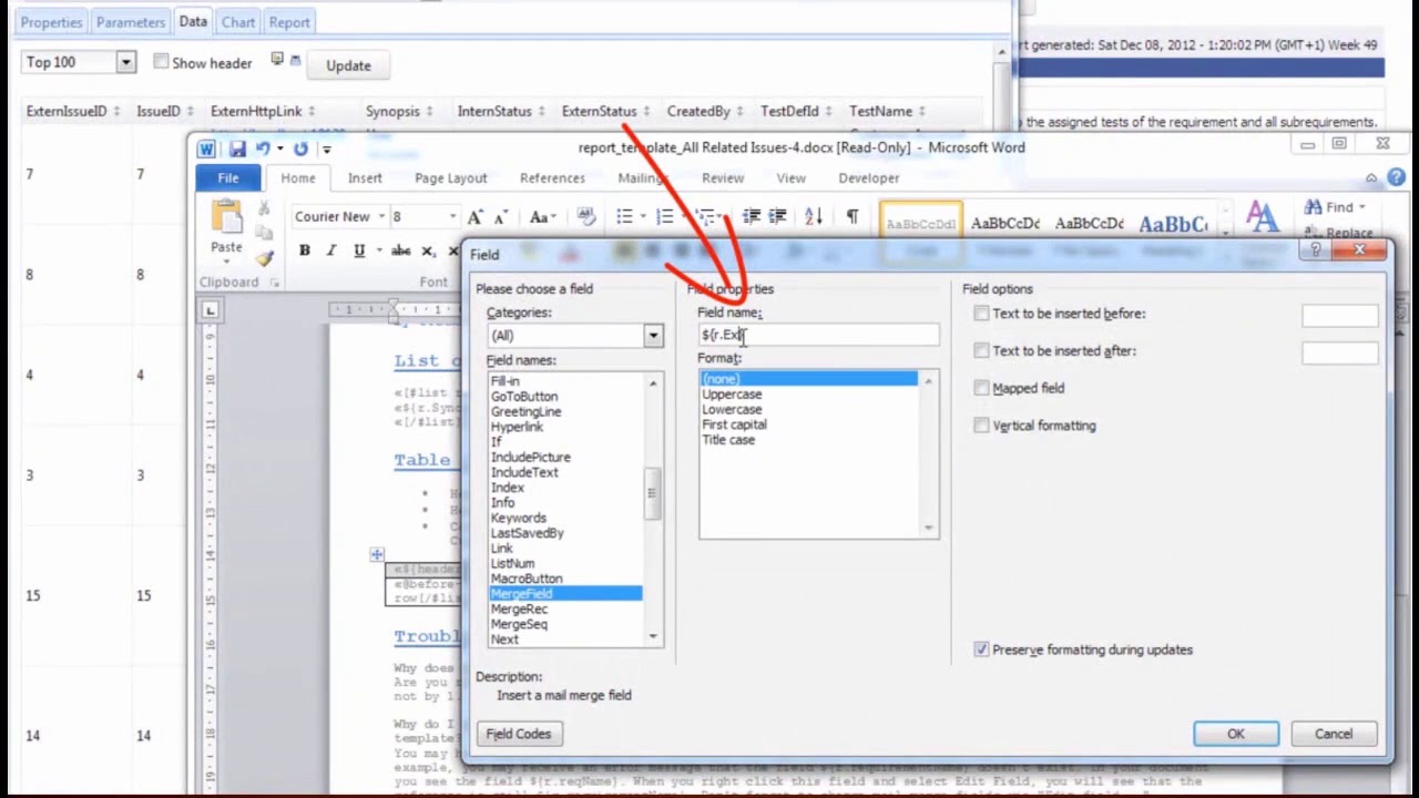 Howto Export Lists of Application Issues to Word in Silk Central