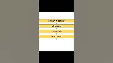 Activation of Rhodopsin (phototransduction) #ophthalmology
