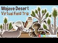Mojave Desert Ecosystem Exploration
