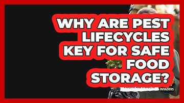 Why Are Pest Lifecycles Key For Safe Food Storage? - Insects and Invaders