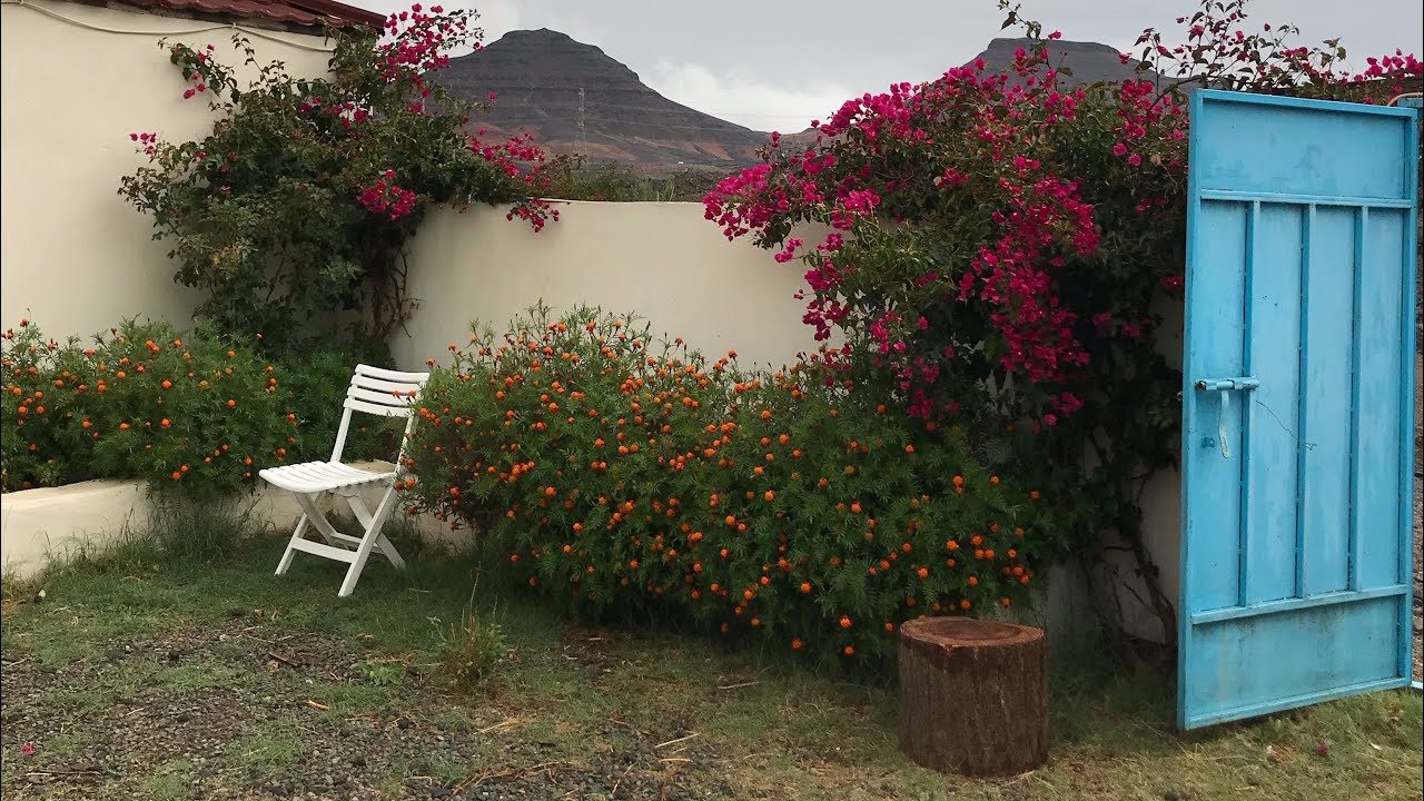 يوم ممطر |تفاصيل يومي البسيطه |vlog