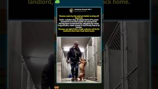 🐕Shelter Dog Refuses To Let Go Of Man’s Arm — And Got Adopted#funny #youtubeshorts #memes #youtube