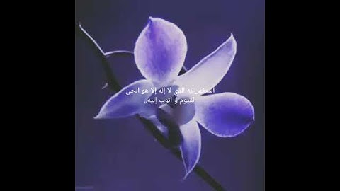 سورة الحديد آية 12 بصوت الشيخ سلمان العتيبي