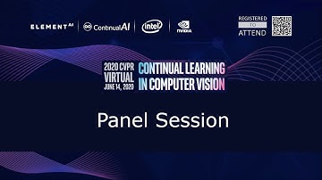 [CLVision @ CVPR2020] Panel Discussion