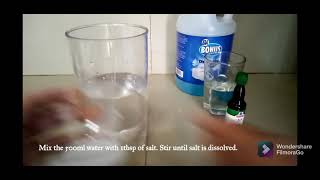 Download Lagu Extracting my DNA using Dishwashing Liquid, Salt water, and Isopropyl Alcohol MP3