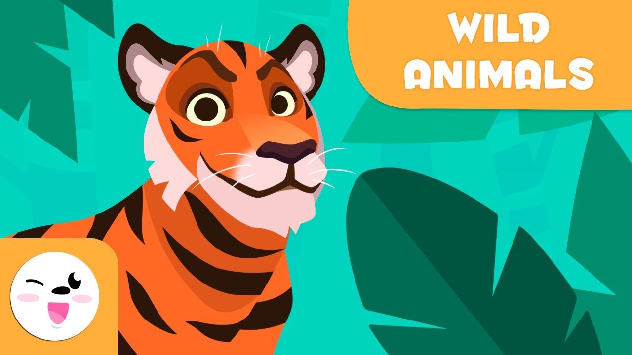 ⁣Wild animals for kids - Vocabulary for kids