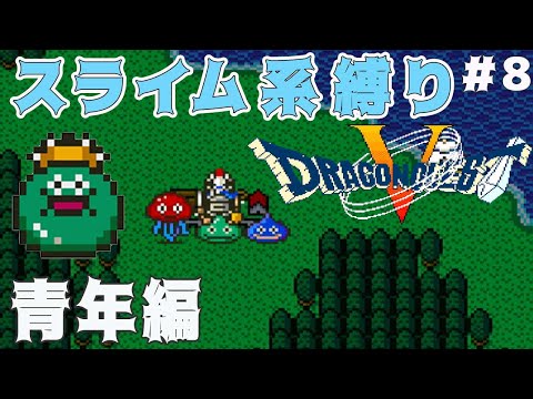 【ドラゴンクエスト5】青年編 スライム系縛り #8
