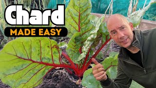 How to Grow Swiss Chard – The Secret to Perfect Plants Every Time
