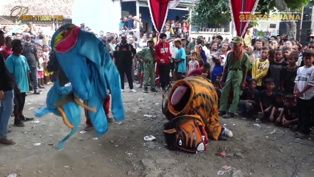 TARUNG SATOWAN || BUROK GENTA BUANA LIVE SHOW DS NEGLA DUKU MAYAG LOSARI BREBES, 18 JULI 2024