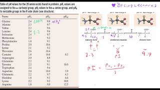 Biochemistry Lecture 5 Amino Acids as Acids, Bases, and Buffers screenshot 3