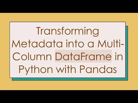 Transforming Metadata into