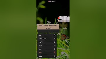 أجمل حالات واتس اب قرأن بصوت القارئ ماهر المعيقلي/#سورة_الملك #القرآن_الكريم #ماهر_المعيقلي/#quran
