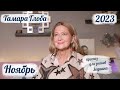 Тамара Глоба – астропрогноз на Ноябрь 2023 для знаков Зодиака