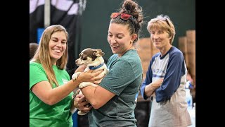 WAAL's Animal Care Collective Program