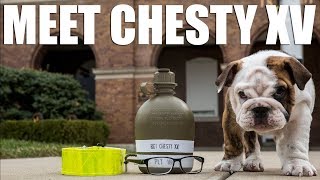 Chesty XV has arrived