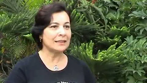 O que é o Movimento Desperta Débora?