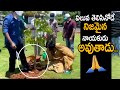 Power Star Pawan Kalyan accepts Green India Challenge