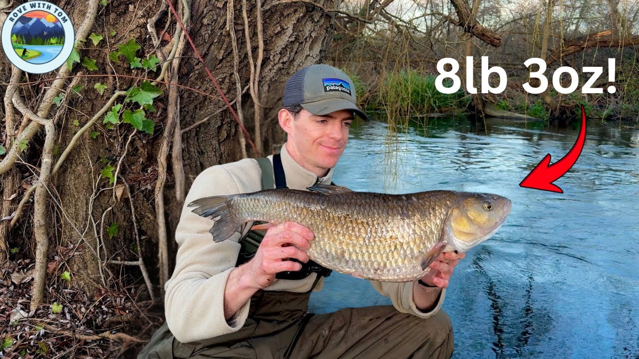 A FISH OF A LIFETIME (8lb CHUB!)