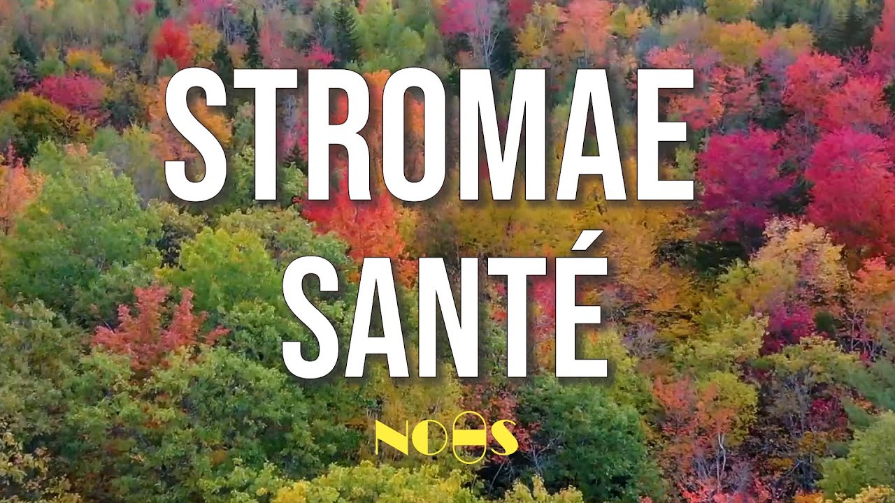 Stromae - Santé (Paroles/Lyrics) Stromae - Santé (Paroles/Lyrics)