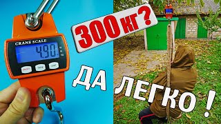 картинка: КРАНОВЫЕ ВЕСЫ 300 КГ | МОЩНЫЕ ВЕСЫ ДЛЯ ТЯЖЁЛЫХ ВЗВЕШИВАНИЙ