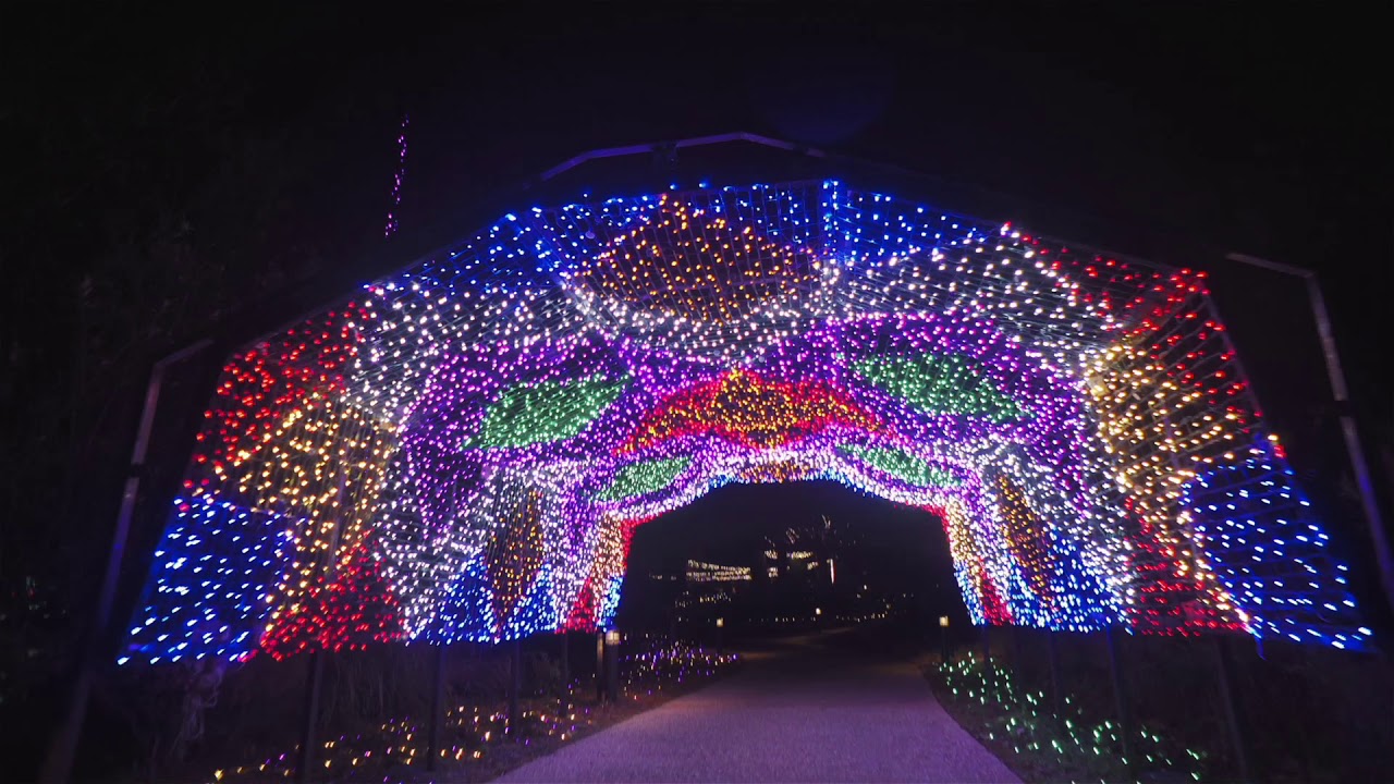 Dominion Energy Gardenfest Of Lights At Lewis Ginter Botanical