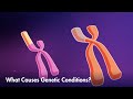 Genetic Mutations and Their Impact on Human Health