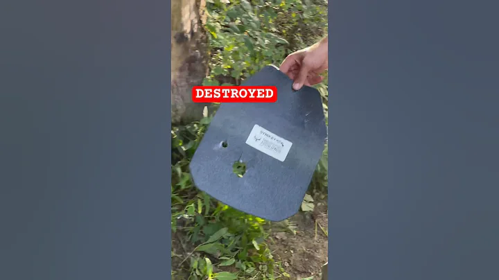 12 GAUGE SLUG DESTROYS AR500 lvl 3+ armor #armory #shooting #tactical #train #fun #science #test