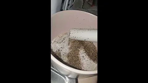 Steven Hendriex's Static Video