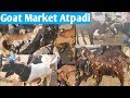 आटपाडी शेळी,बोकड बाजार /Goat market Atpadi.