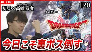 【ドラクエ1&2リメイク】ヒリつきを求めた初見ハードモード！今度こそ勝つ(20) ※ネタバレ注意