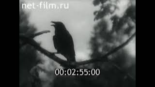 Закон великой любви (1945) Фильм Бориса Долина Документальный