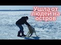 Она жила одна на острове, пока не произошла беда. Ванесса и другие ждут вылет в Москву