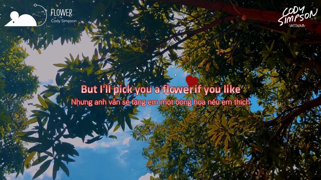 [Vietsub+Lyrics] Cody Simpson Flower YouTube