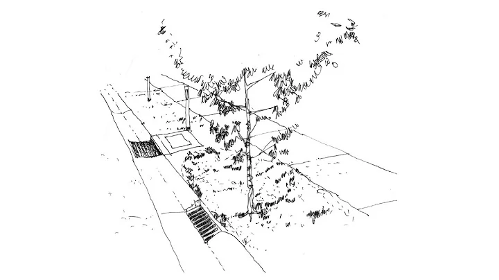 Ideanthro Ep 159 - Zero additional maintenance WSUD 3