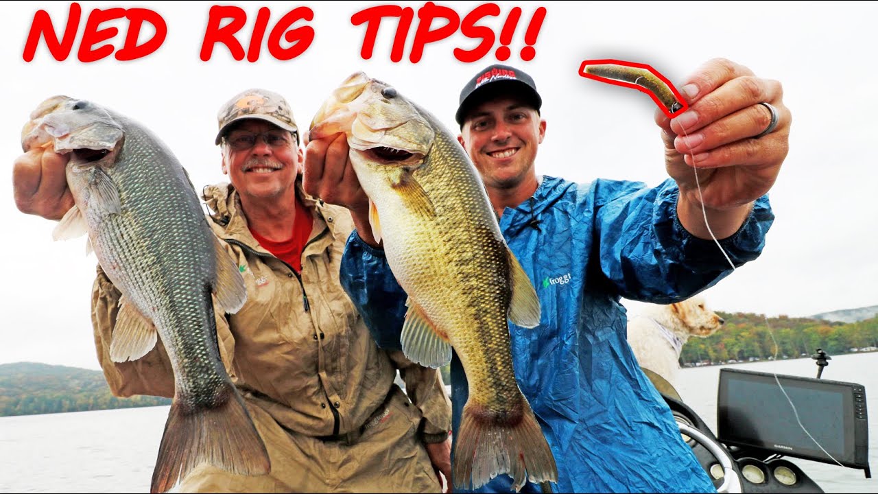 Watch NED RIG FISHING TIPS! Best Lure For FINICKY BASS! (LOSER