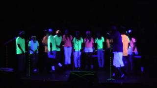 Little Lion Man- Usounds: Glow-In-The-Darcappella 2012