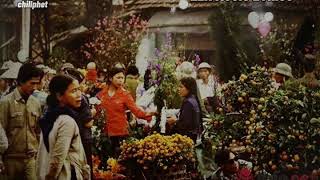 Xuân Đã Đến Rồi...,Nghe Là Tới Tết L Đón Xuân L Trayde - Mien Mien Lofficial Lyrics Video.