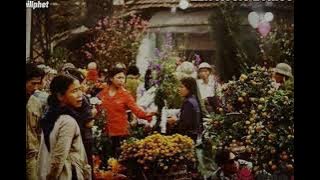 Xuân đã đến rồi...,nghe là tới tết l Đón xuân l TRAYDE - MIEN MIEN l(Official Lyrics video).