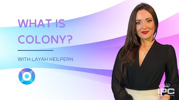 What is Colony? | With Layah Heilpern