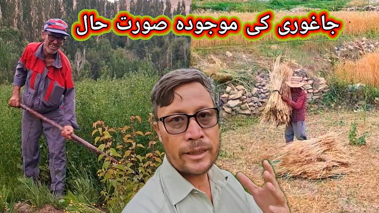 Jaghuri 2025: The Real Situation You Haven’t Heard About |Afghanistan |HAZARAGI and URDU Vlog |LSK
