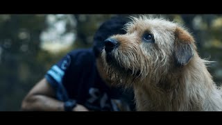 Streaming Arthur the King full movie in english