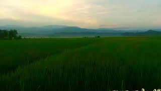 Rindu hate lagu aceh terbaru 2019 versi status wa
