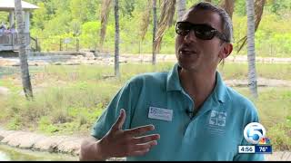 Research Shows Possible Harmful Effects From Longterm Exposure To Blue Green Algae