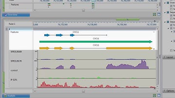 DNASTAR - Intro to Genomic Visualization