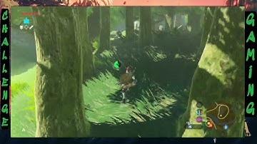 5 CHALLENGE! Zelda BOTW M.Q. (PERMADEATH) Successful Attempt Part 5 (NO COMMENTARY)