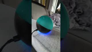 Echo dot not connecting to the internet I'm being rude to qwerty