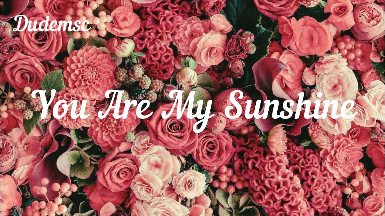 You are my sunshine Jasmine Thompson (Lyrics / Lirik) YouTube