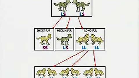 natural selection isn